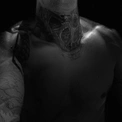 Skanehane