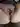 DaddyOchFlickan