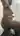 Blacktightpussy
