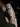 bigdick78
