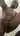Blacktightpussy