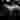 Orectic88