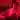 Mrs_Mr_Norrland