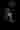 Orectic88