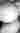 Orectic88