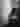 Orectic88