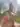 Bonkare726006147