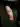 bigdick78