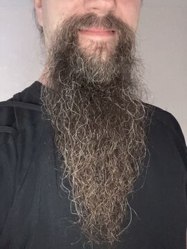 Beardmetal